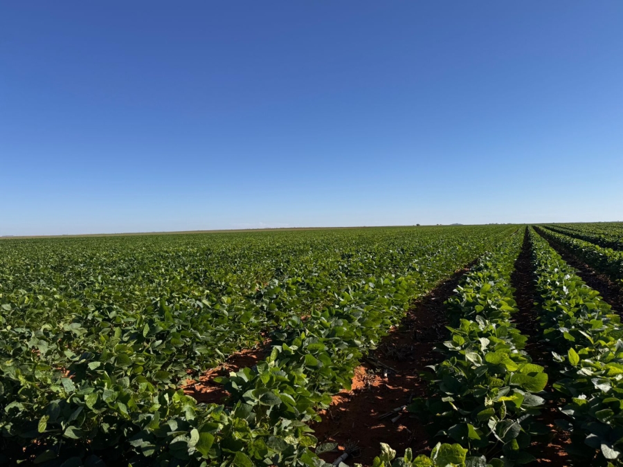 12 Bedroom Property for Sale in Bloemfontein Rural Free State